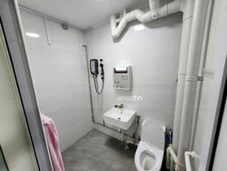 Blk 885 Tampines Spring (Tampines), HDB 4 Rooms #607221471
